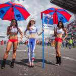 FIA WTCC 2013. 09-06-2013 Moscow Raceway